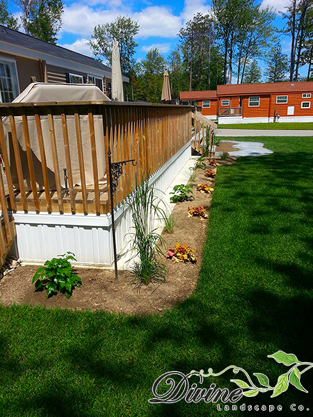 Garden with planting
