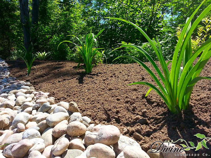 Garden with river rock border